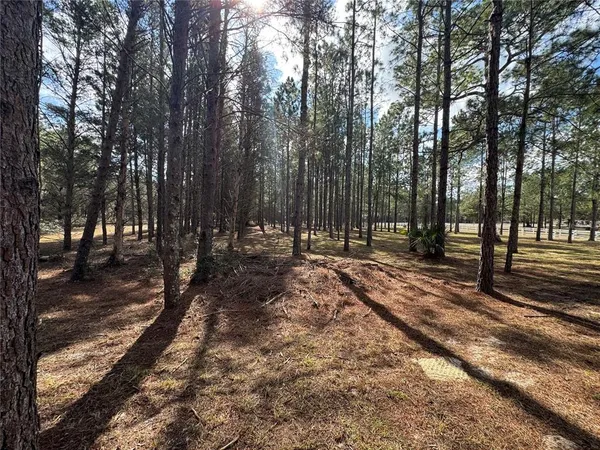 $325,000 | Southwest 70th Terrace, Bushnell, FL 33513