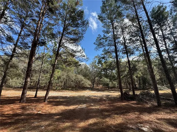 $325,000 | Southwest 70th Terrace, Bushnell, FL 33513