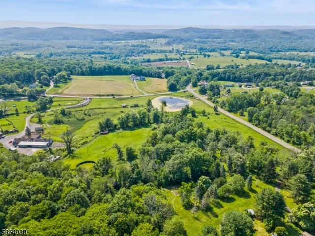a view of a city with lush green forest