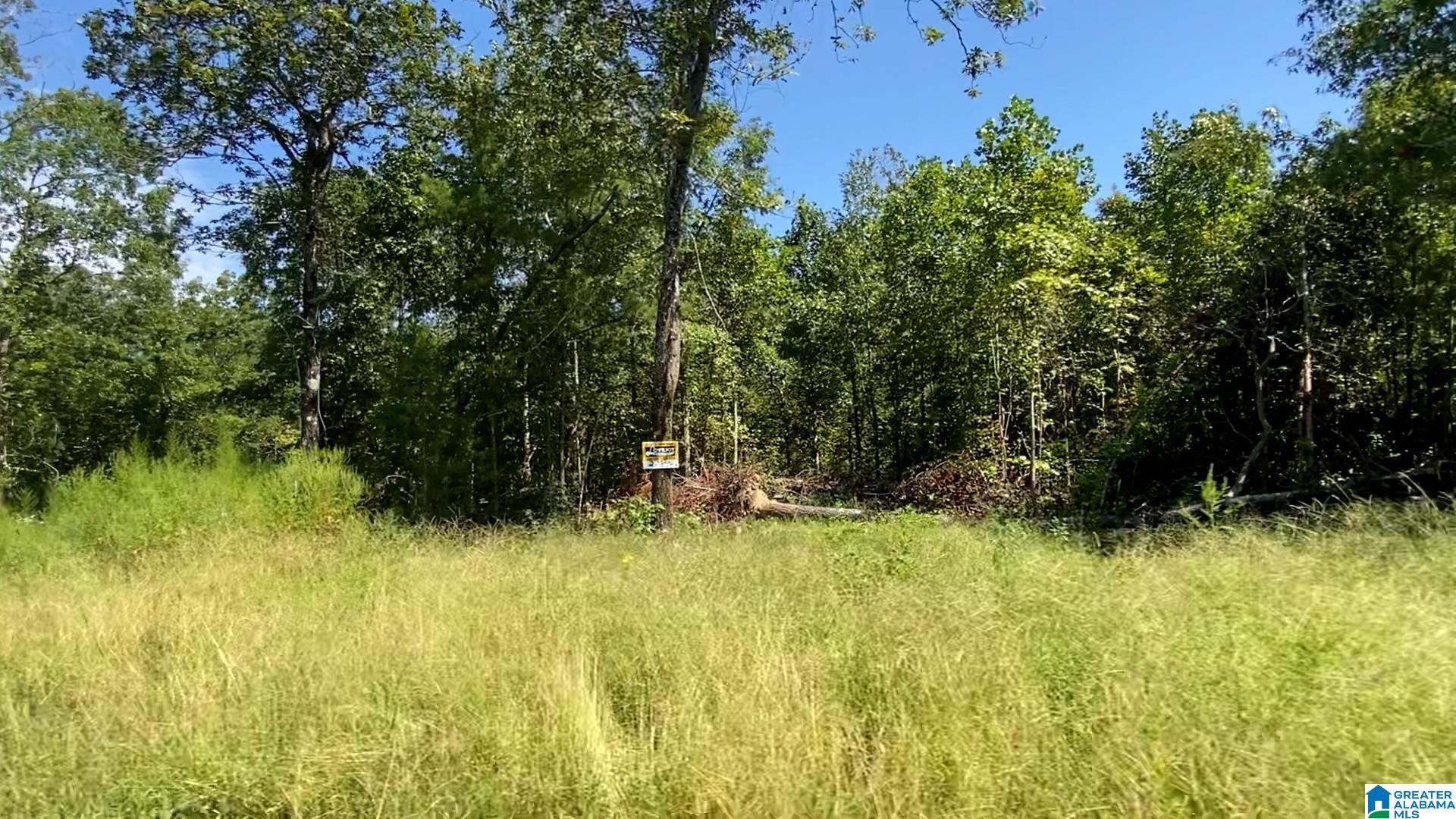 20 Scenic Vly Road, Unit TRACT 5 Springville, AL 35146 - Photo 4 of 11 Gallery Image 4