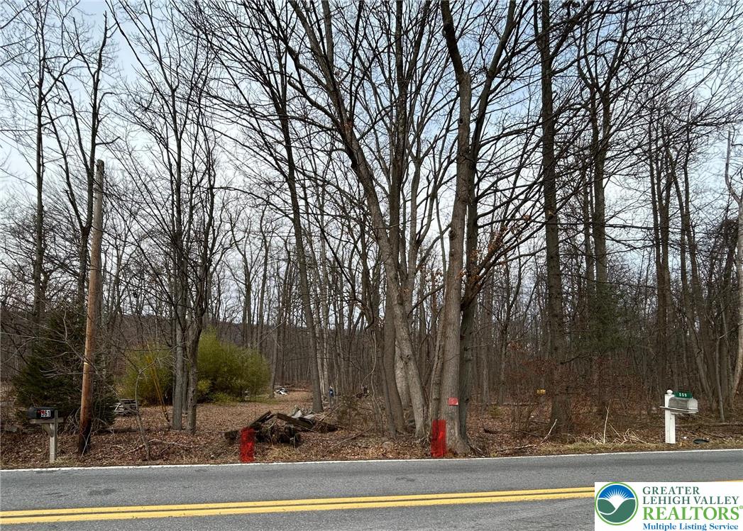 Center Street Wind Gap, PA 18091 - Photo 5 of 5 a view of a city view