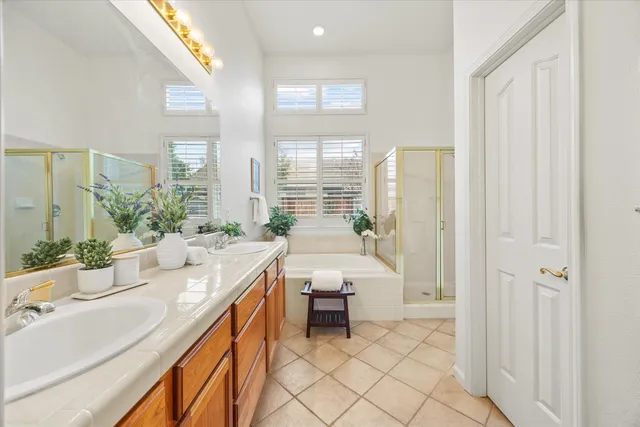 a bathroom with a sink a mirror and a potted plant