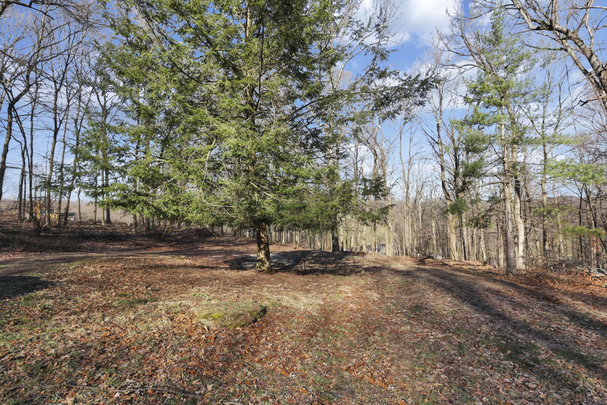 8270 Reform Road Northeast Newark, OH 43055 - Photo 41 of 51