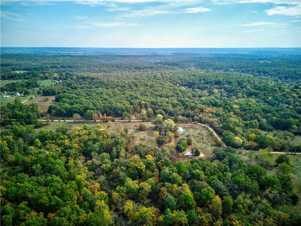 11705 South 2395 Road Dunnegan, MO 65640 - Photo 5 of 23