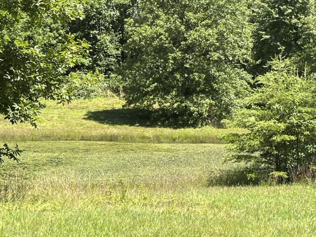362 Cullen Savage Road Palmer, TN 37365 - Photo 40 of 76 IMG_7179