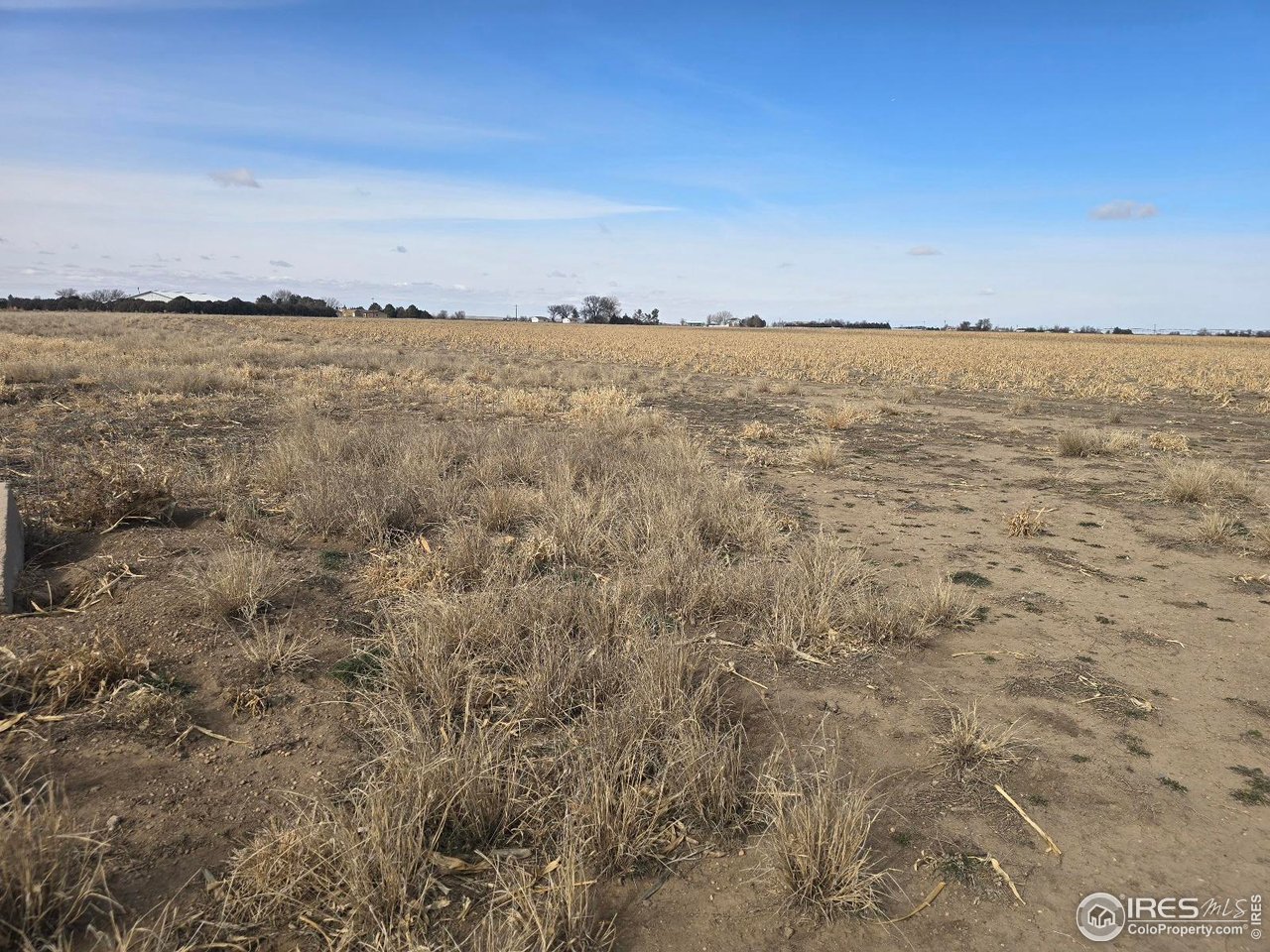 9482 State Highway 52 Wiggins, CO 80654 - Photo 3 of 5
