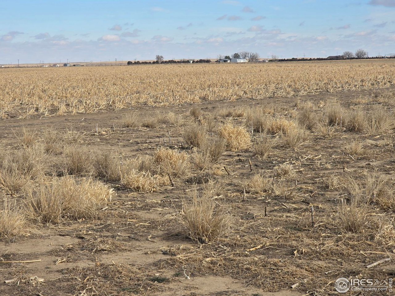 9482 State Highway 52 Wiggins, CO 80654 - Photo 4 of 5 a view of an ocean