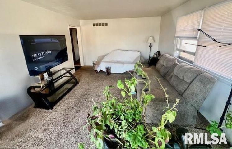 5807 South Adams Street Bartonville, IL 61607 - Photo 9 of 12