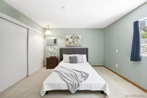 a bedroom with a bed and a walk in closet