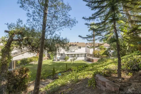 a view of a yard with plants and trees