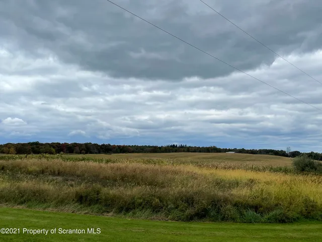 a view of city and green field