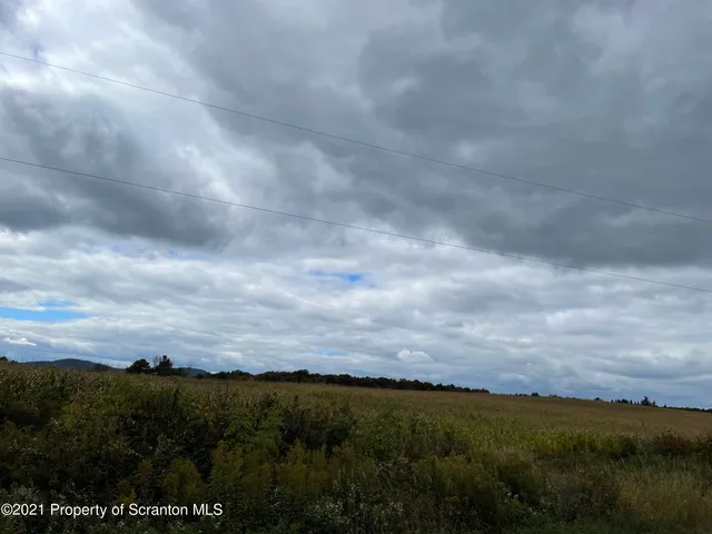 a view of a dry yard with wooden fence