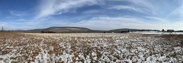an aerial view of residential building and ocean