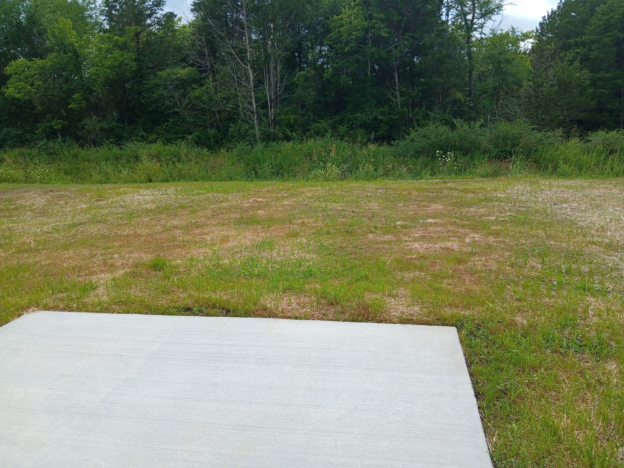 2855 Upstream Road Christiana, TN 37037 - Photo 74 of 84