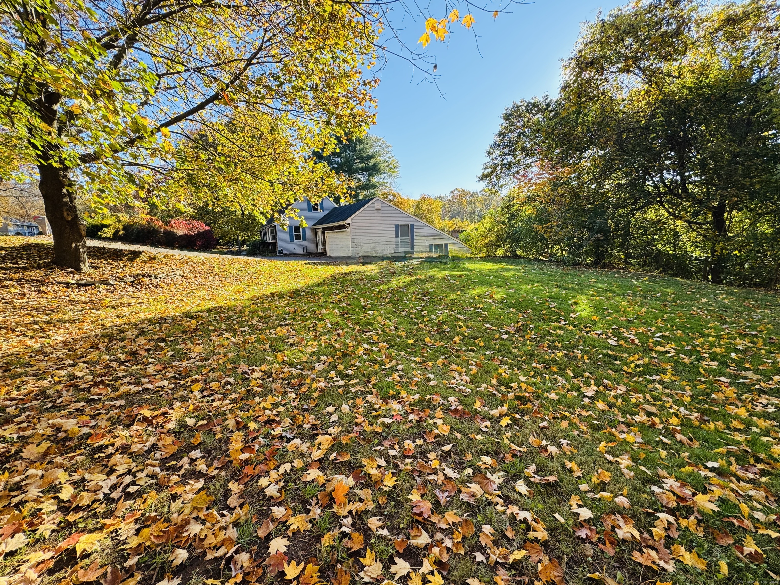 104 Cemetery Road Vernon, CT 06066 - Photo 28 of 28 a view of yard with large tree and wooden fence