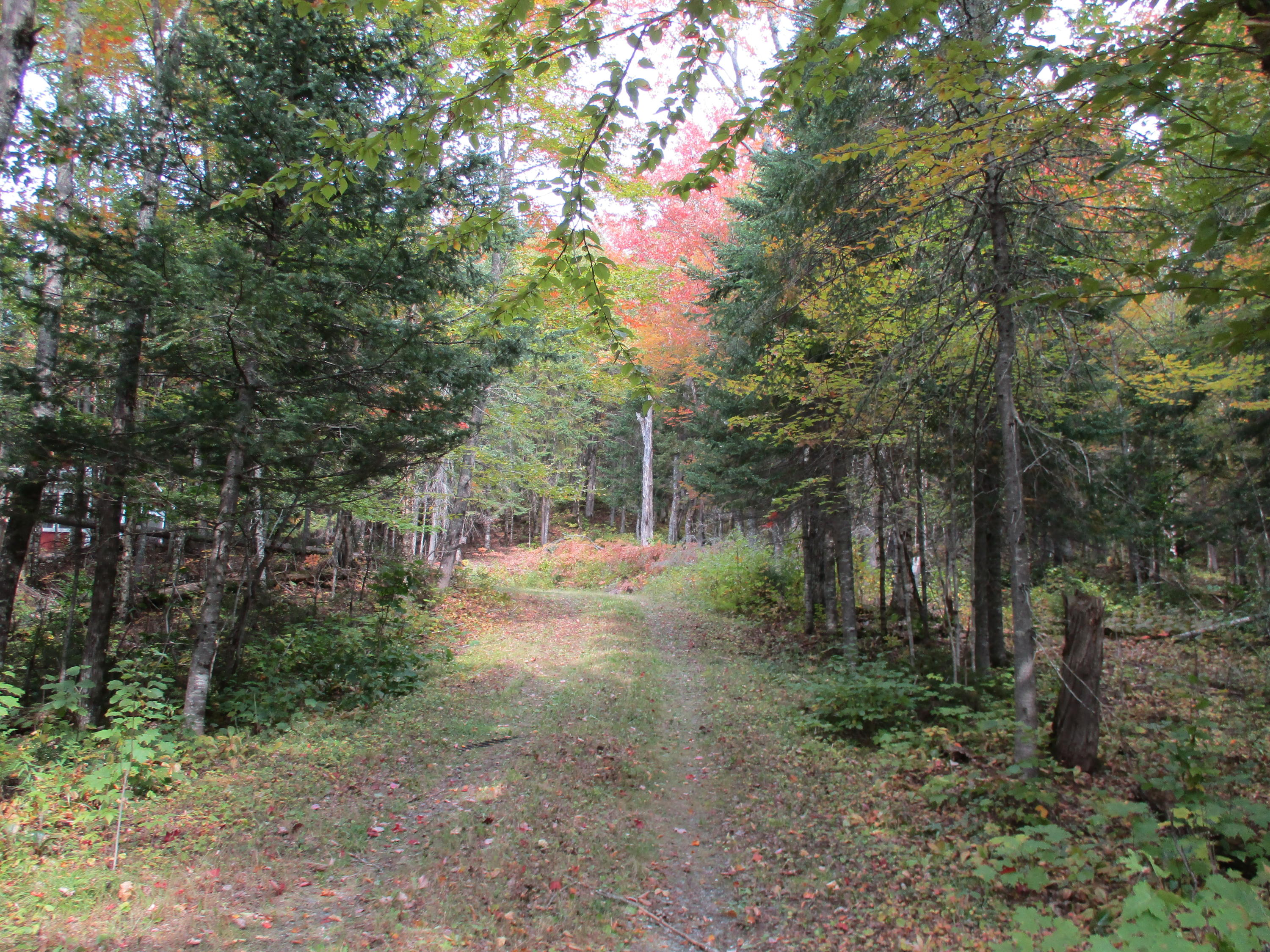 60 Little Black Road St. Francis, ME 04774 - Photo 23 of 35 IMG_1254