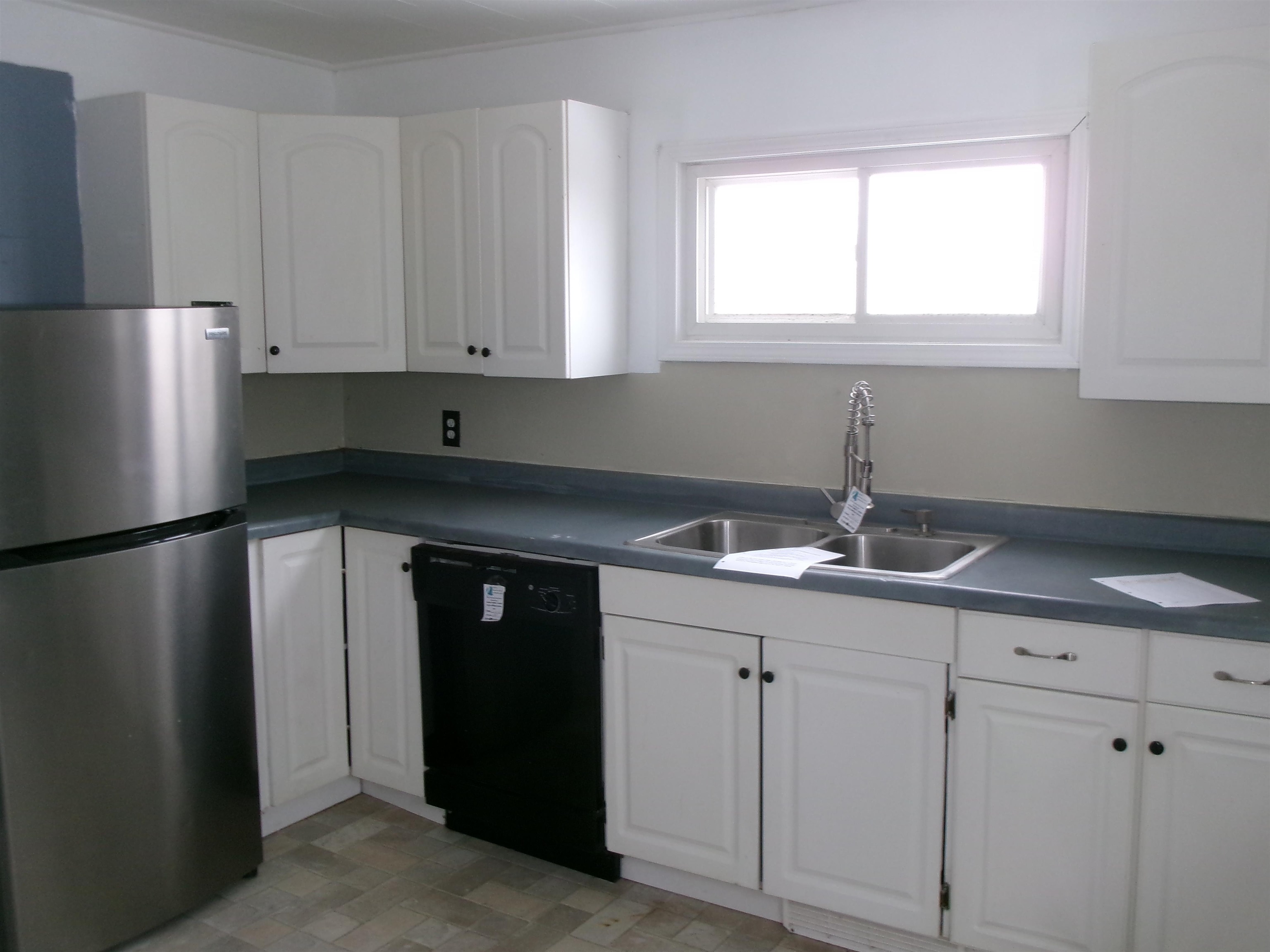 319 North Chestnut Street Princeton, IL 61356 - Photo 5 of 8 a kitchen with appliances a sink and cabinets
