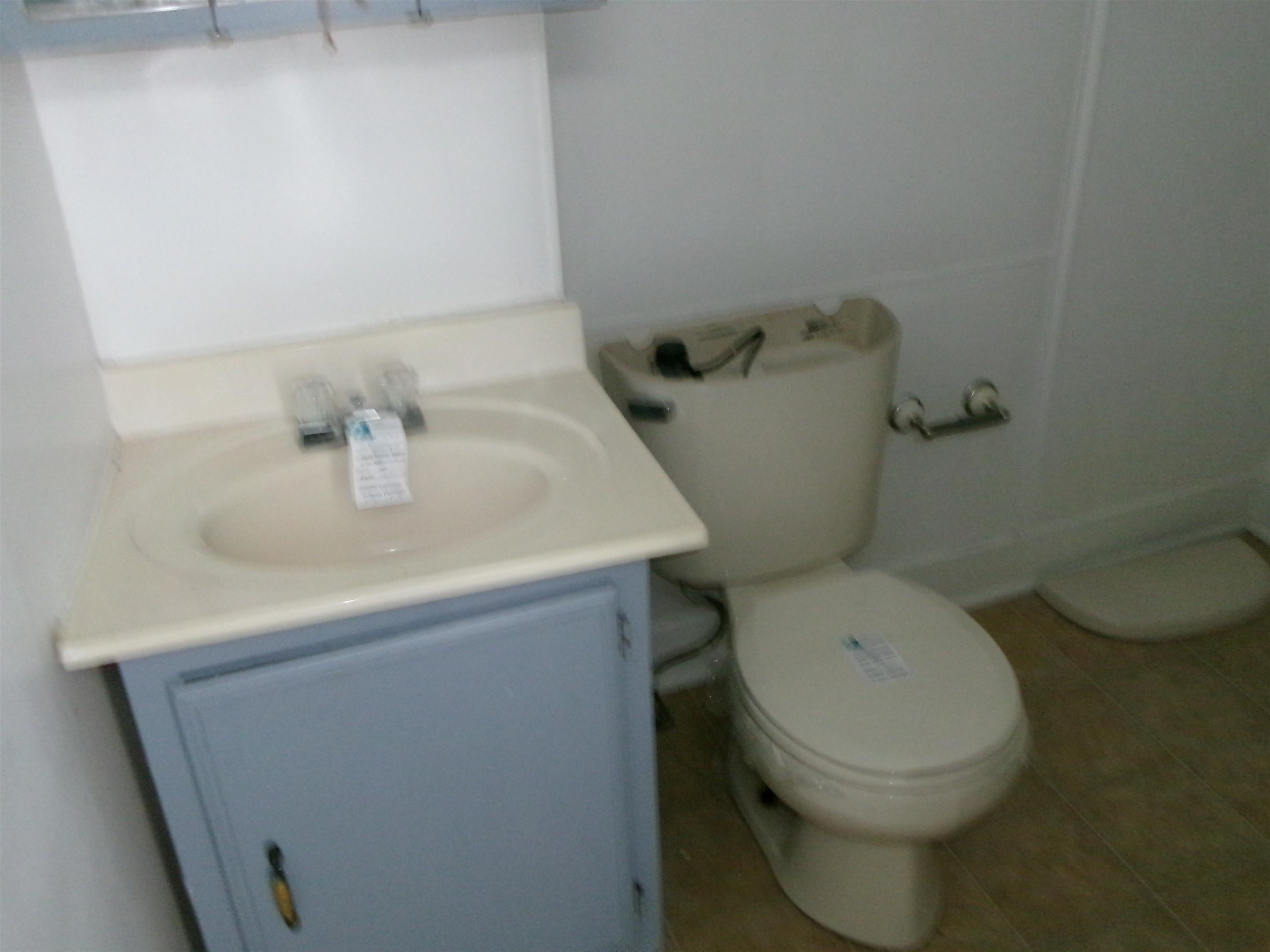 319 North Chestnut Street Princeton, IL 61356 - Photo 6 of 8 a bathroom with a sink and a toilet