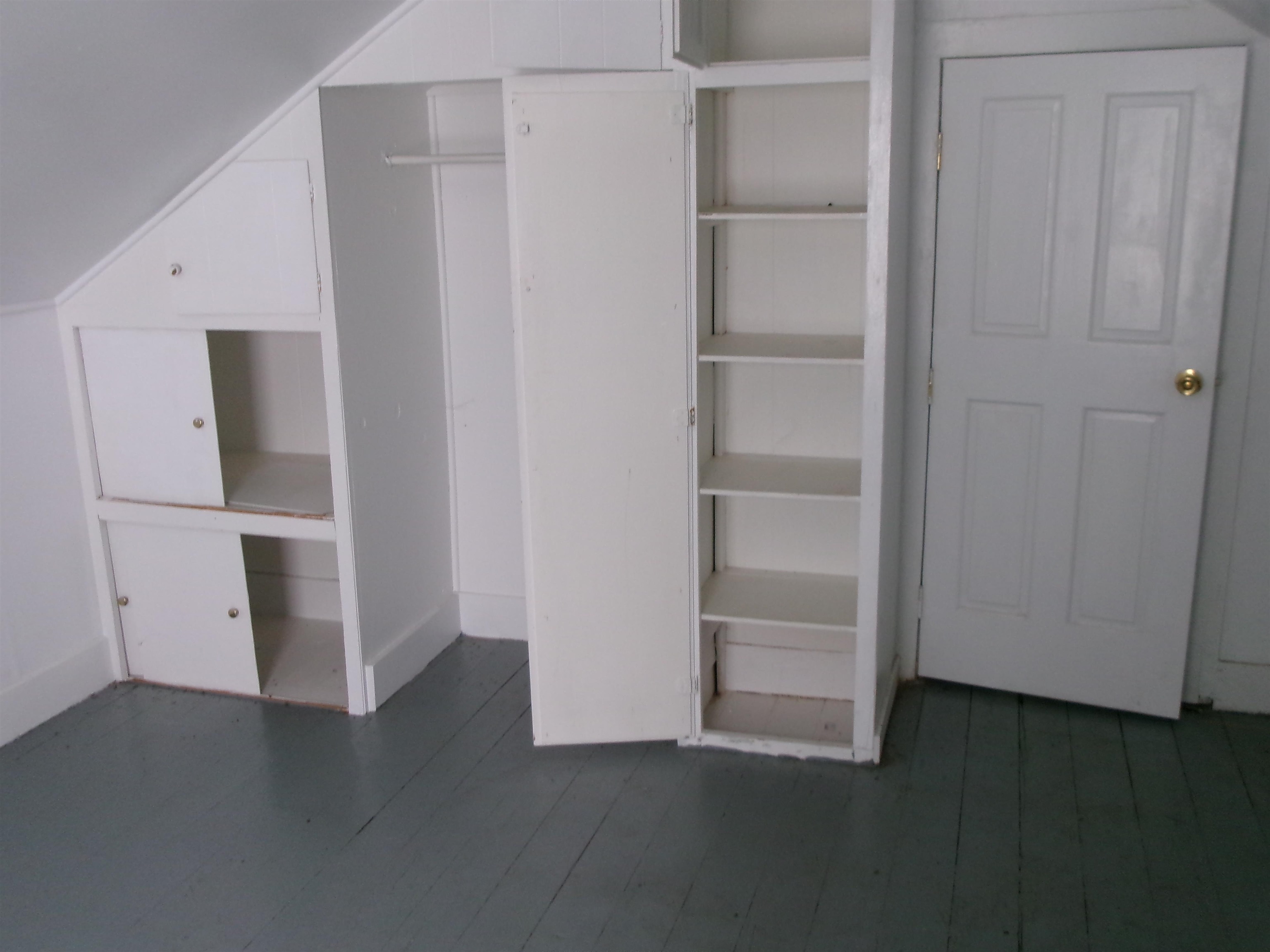 319 North Chestnut Street Princeton, IL 61356 - Photo 8 of 8 a view of an empty walk in closet