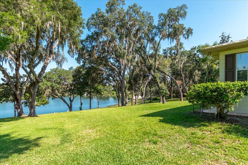 10522 Southeast 146th Terrace Road Ocklawaha, FL 32179 - Photo 48 of 81