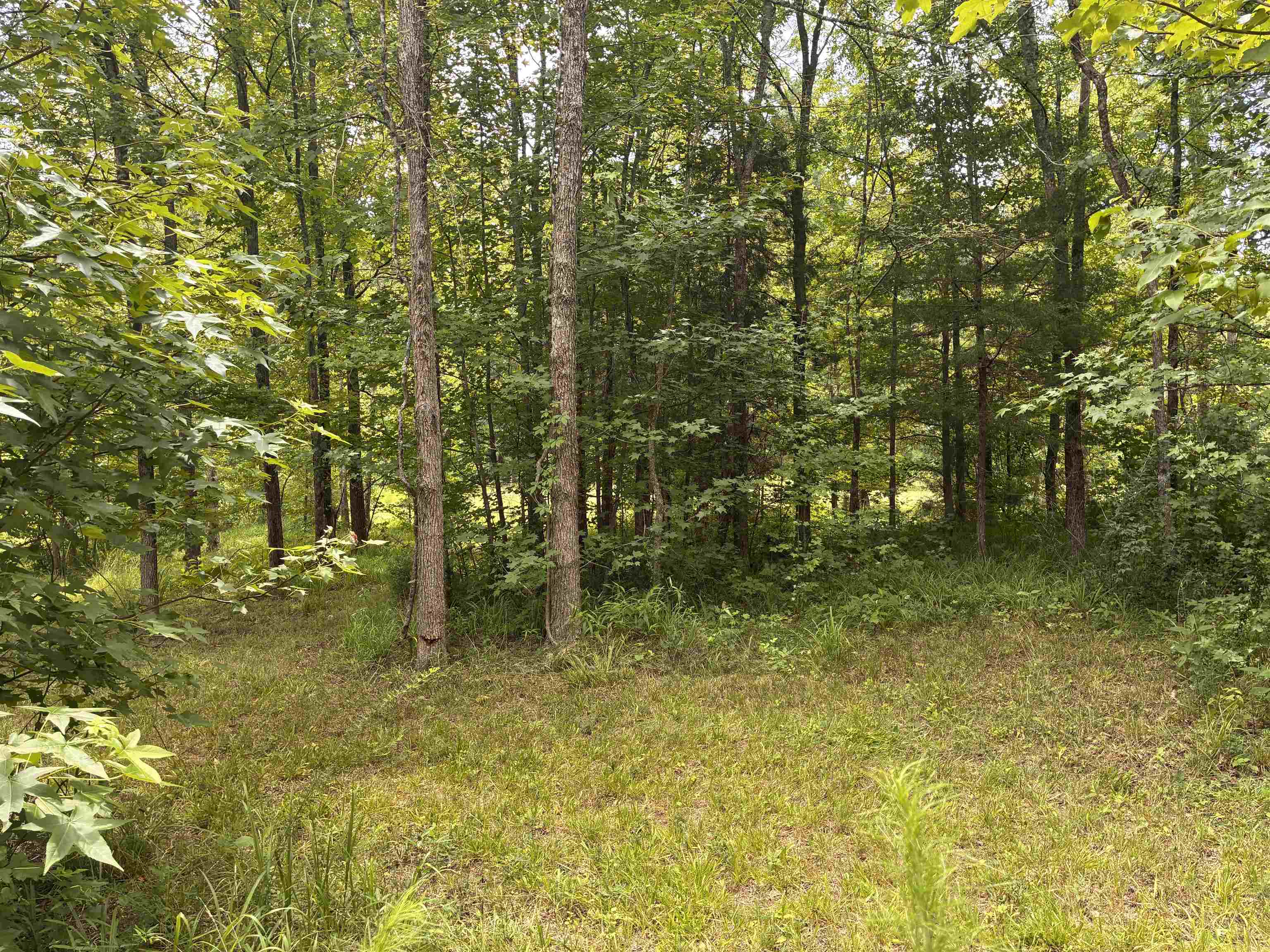 Lot 1 State Rd S-11-54 Gaffney, SC 29340 - Photo 8 of 19