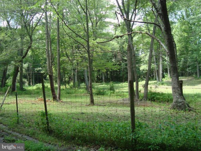 3026 Clayton Road Joppa, MD 21085 - Photo 3 of 12 Wooded View / Acreage