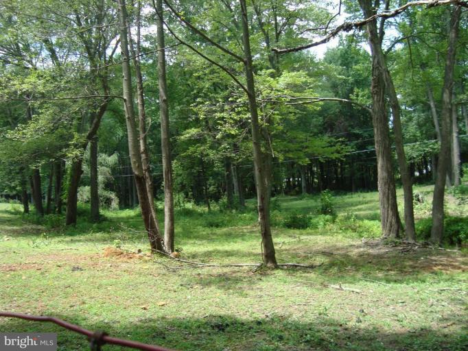 3026 Clayton Road Joppa, MD 21085 - Photo 4 of 12 Wooded View / Acreage 2