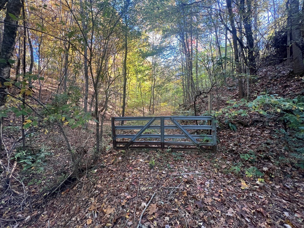 0 Manning Hollow Road Sevierville, TN 37876 - Photo 7 of 14
