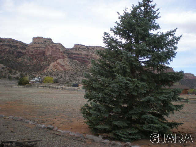 226 East Fallen Rock Road Grand Junction, CO 81507 - Photo 28 of 31 Gallery Image 28