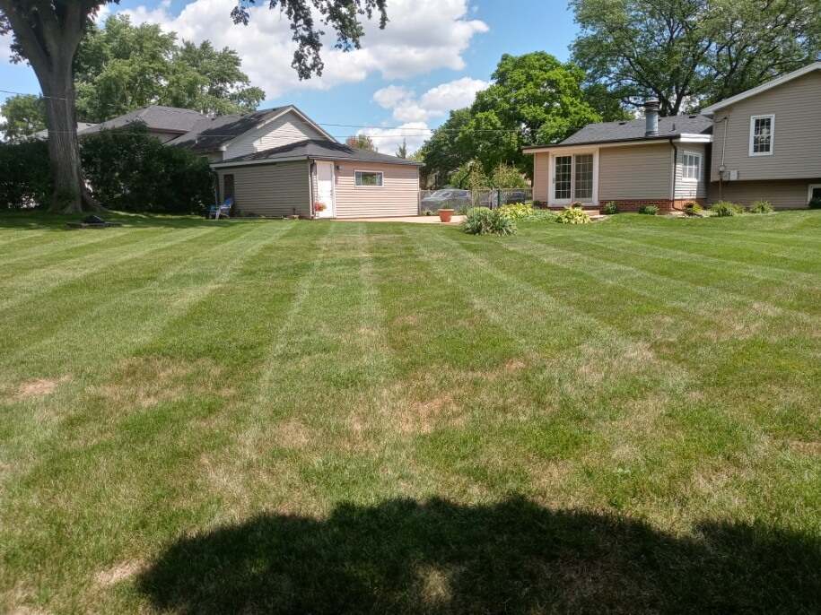 S528 Finley Road Lombard, IL 60148 - Photo 19 of 28 a front view of a house with a garden