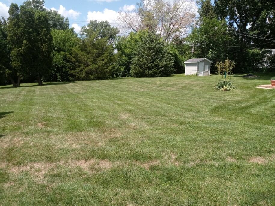 S528 Finley Road Lombard, IL 60148 - Photo 20 of 28 a view of outdoor space with trees