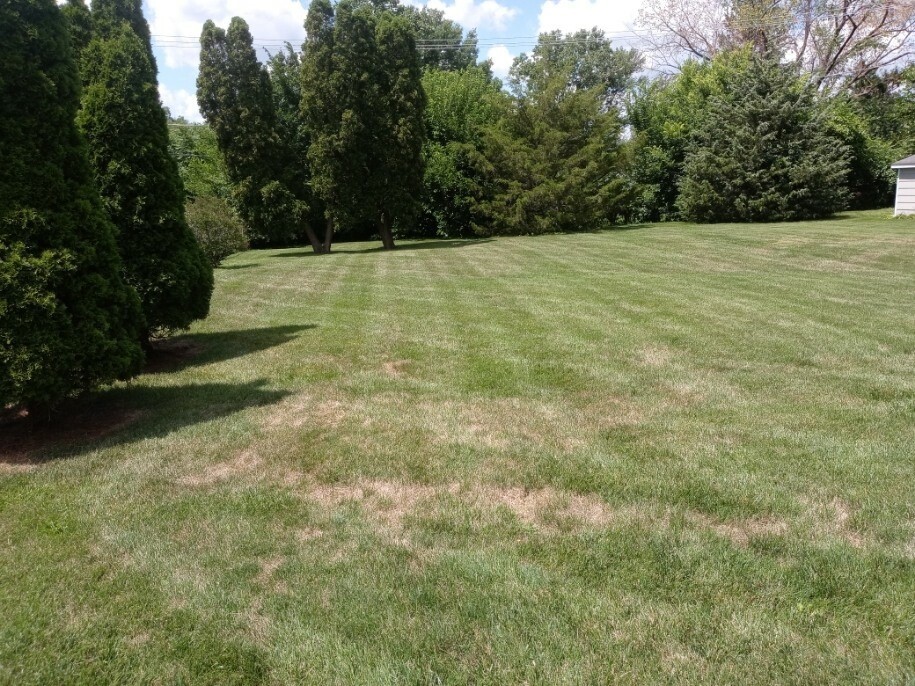 S528 Finley Road Lombard, IL 60148 - Photo 21 of 28 a backyard of a house with lots of green space