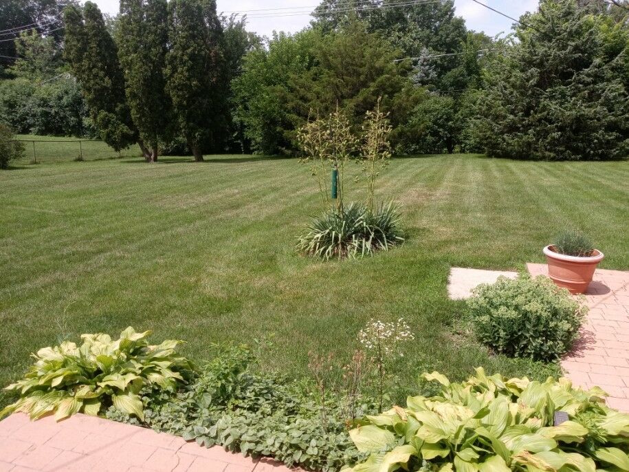 S528 Finley Road Lombard, IL 60148 - Photo 27 of 28 a view of a lake with a big yard