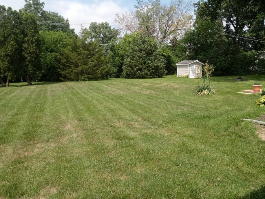 S528 Finley Road Lombard, IL 60148 - Photo 28 of 28 a view of a trees with a yard