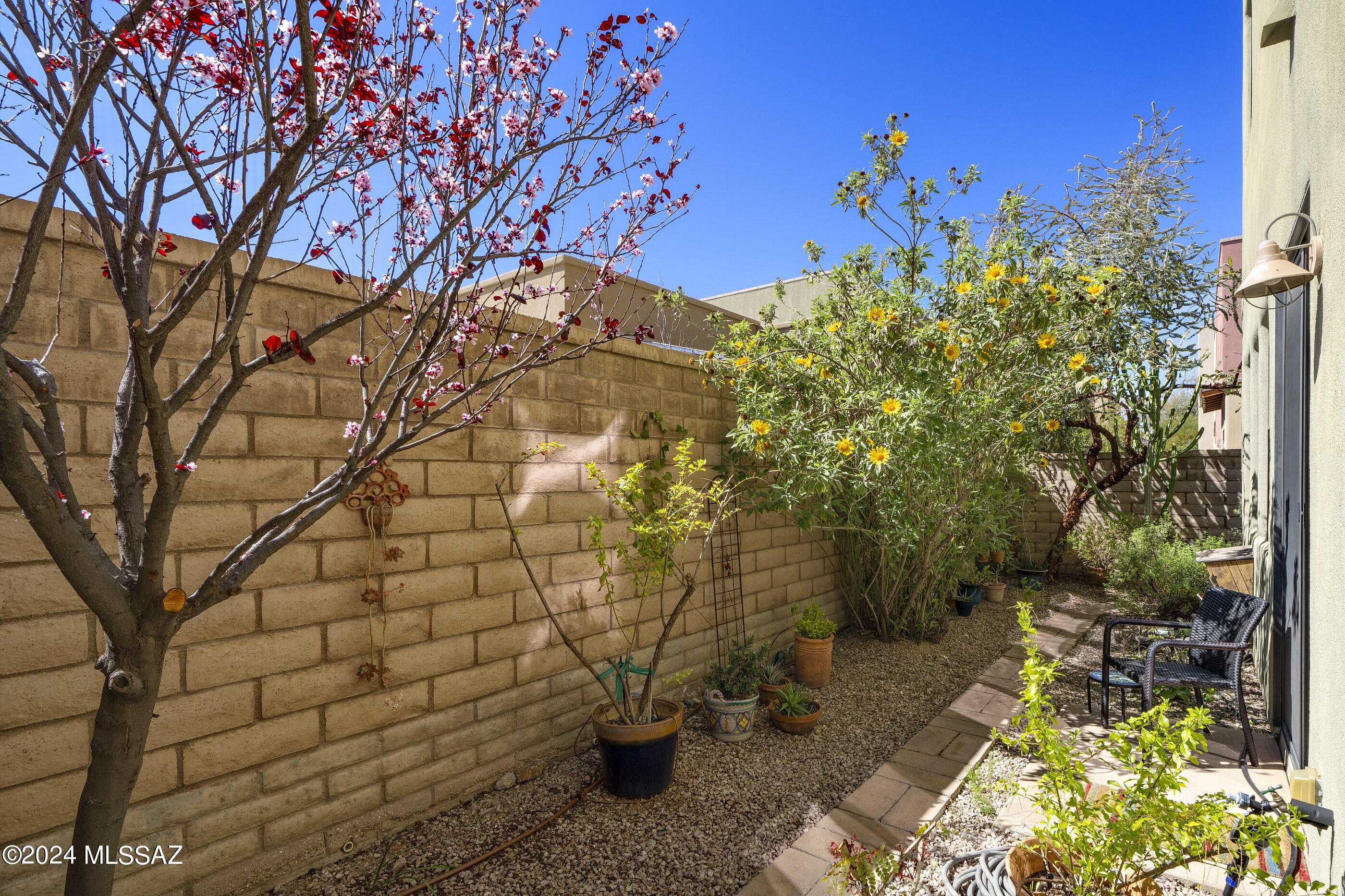 324 East Cedarvale Road Tucson, AZ 85704 - Photo 26 of 30 Gallery Image 26