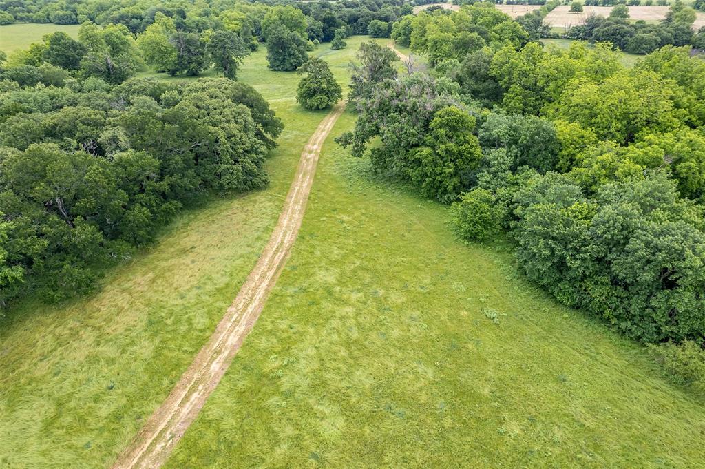 5286 County Road 4502 Commerce, TX 75428 - Photo 19 of 21 a view of a yard