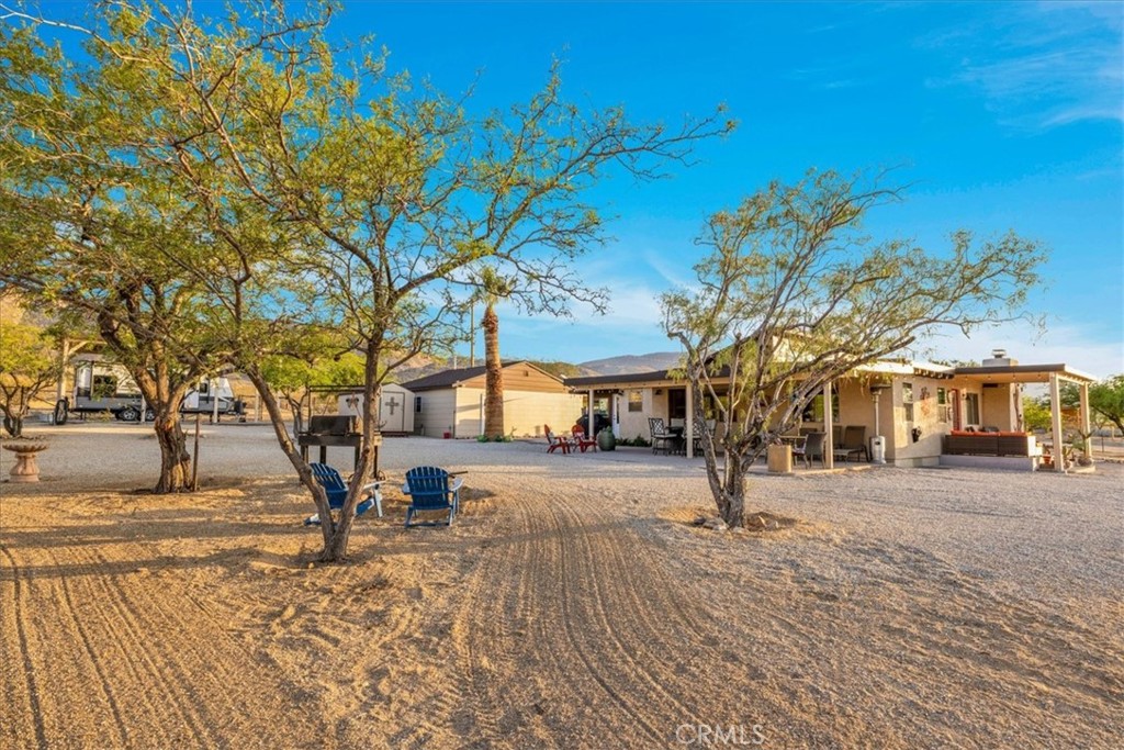 4565 Rock Corral Road Johnson Valley, CA 92285 - Photo 41 of 75 a view of a yard with a tree