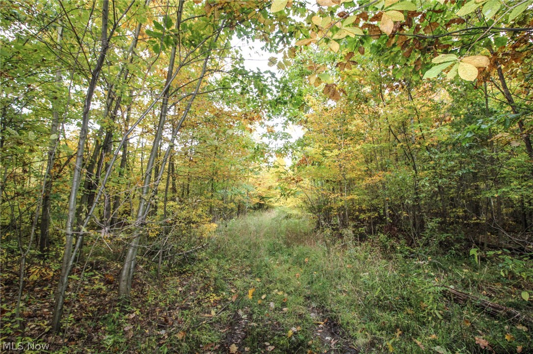 0 Kyle Road Dorset, OH 44032 - Photo 22 of 35 Gallery Image 22