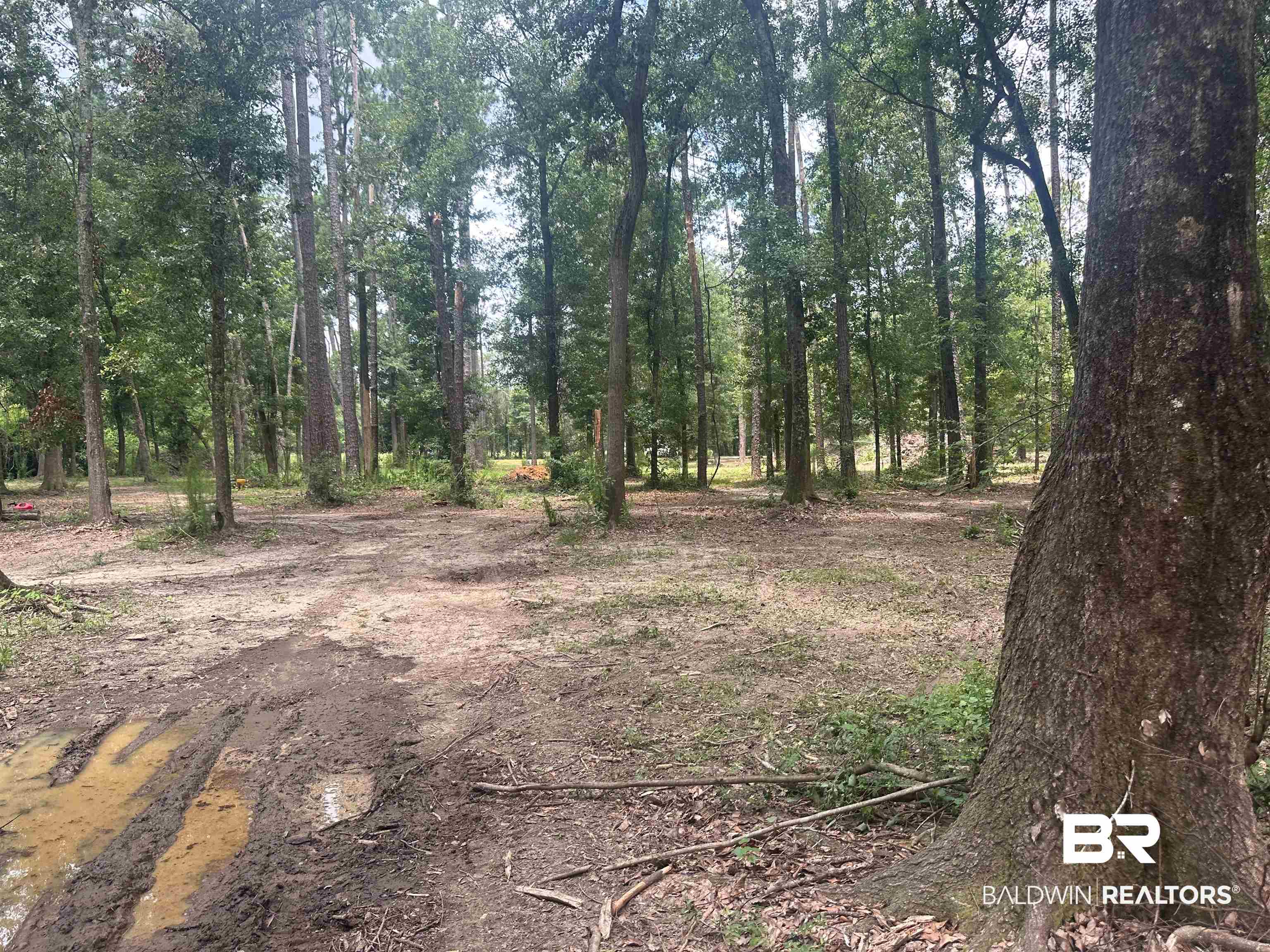 23040 Forland Road Silverhill, AL 36576 - Photo 12 of 13 View of landscape
