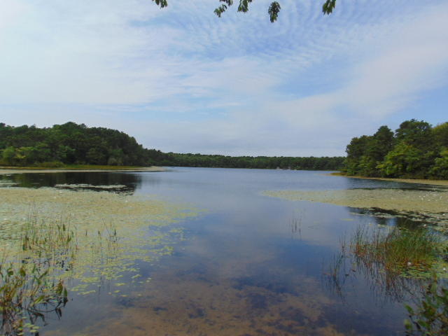 270 Cranview Road Brewster, MA 02631 - Photo 22 of 23 DSC00358