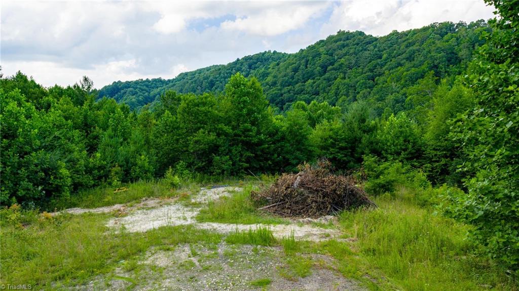 7 Big Laurel Road Creston, NC 28615 - Photo 3 of 20