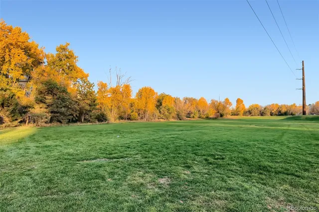 a view of a park with tree s