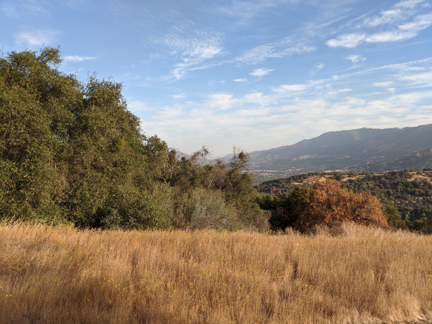 195470 Dunlap Road Miramonte, CA 93641 - Photo 4 of 15 Gallery Image 4