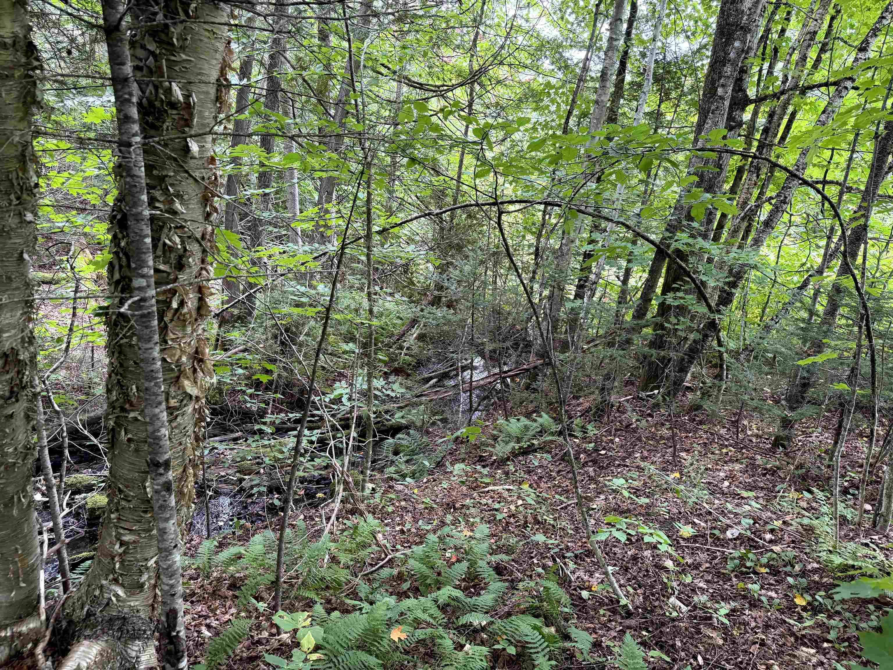 4716 Highway 5 Sutton, VT 05867 - Photo 9 of 21 Gallery Image 9