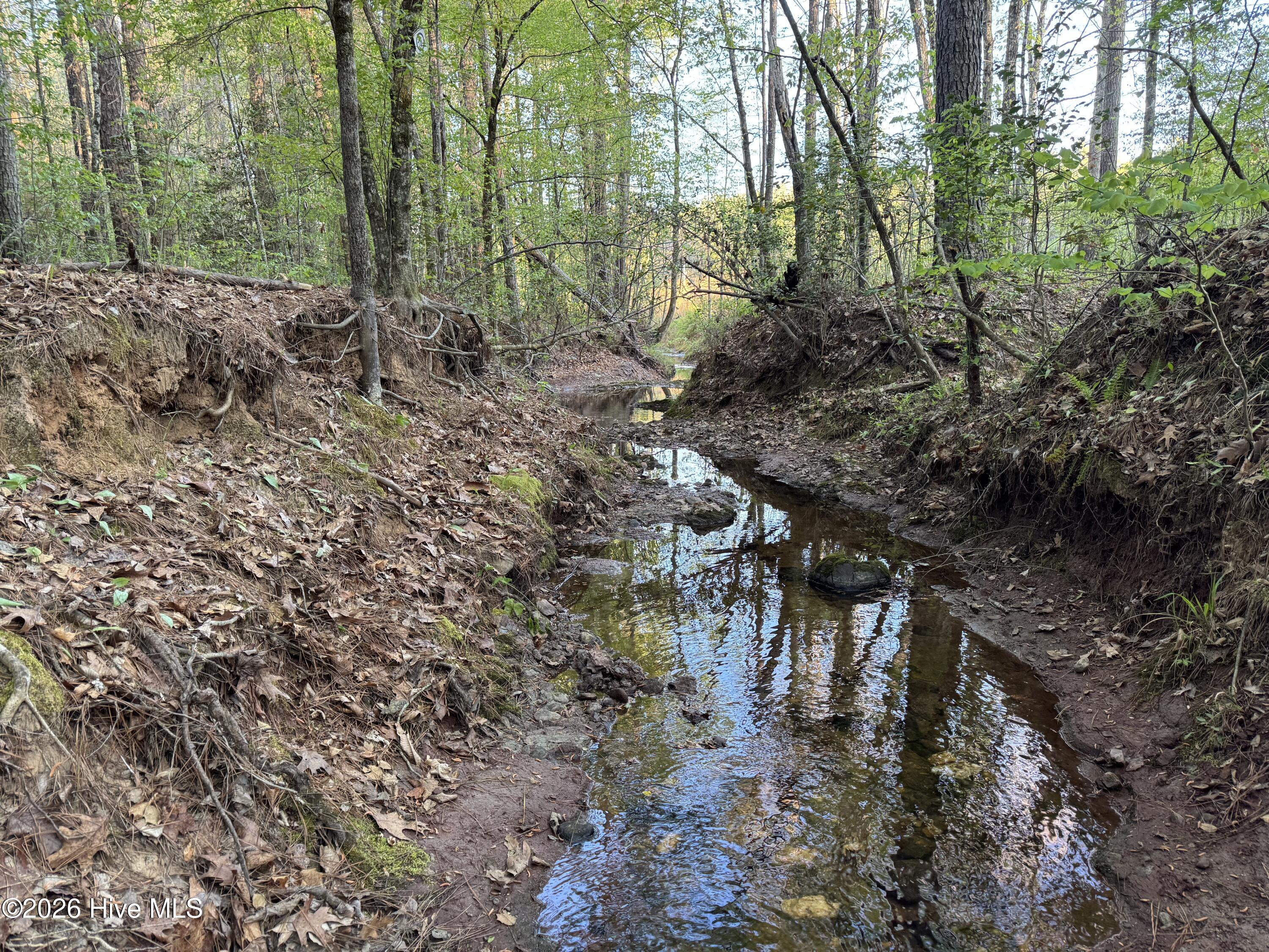 0 Cartledge Creek Road Rockingham, NC 28379 - Photo 20 of 32 Cartledge Creek