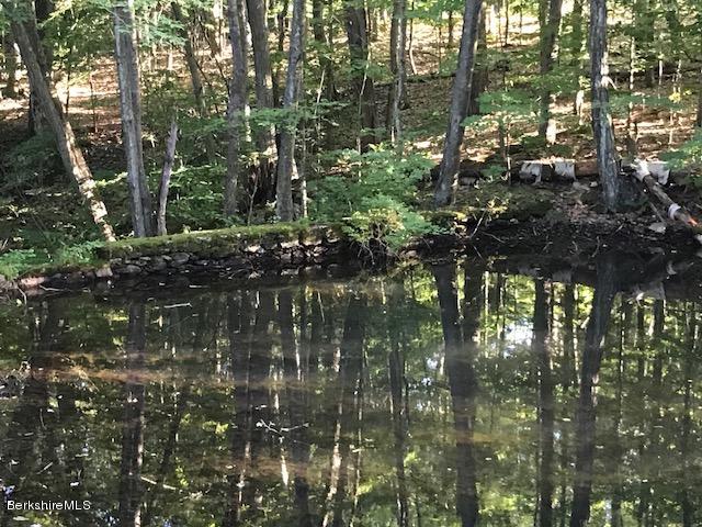 25 Red Rock Road West Stockbridge, MA 01266 - Photo 5 of 9 Man-Made Collection Pond