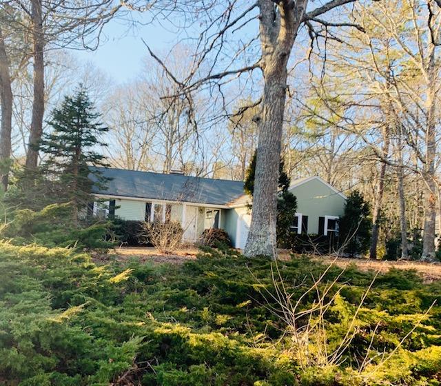 137 Peach Tree Road Marstons Mills, MA 02648 - Photo 1 of 12 IMG_6606