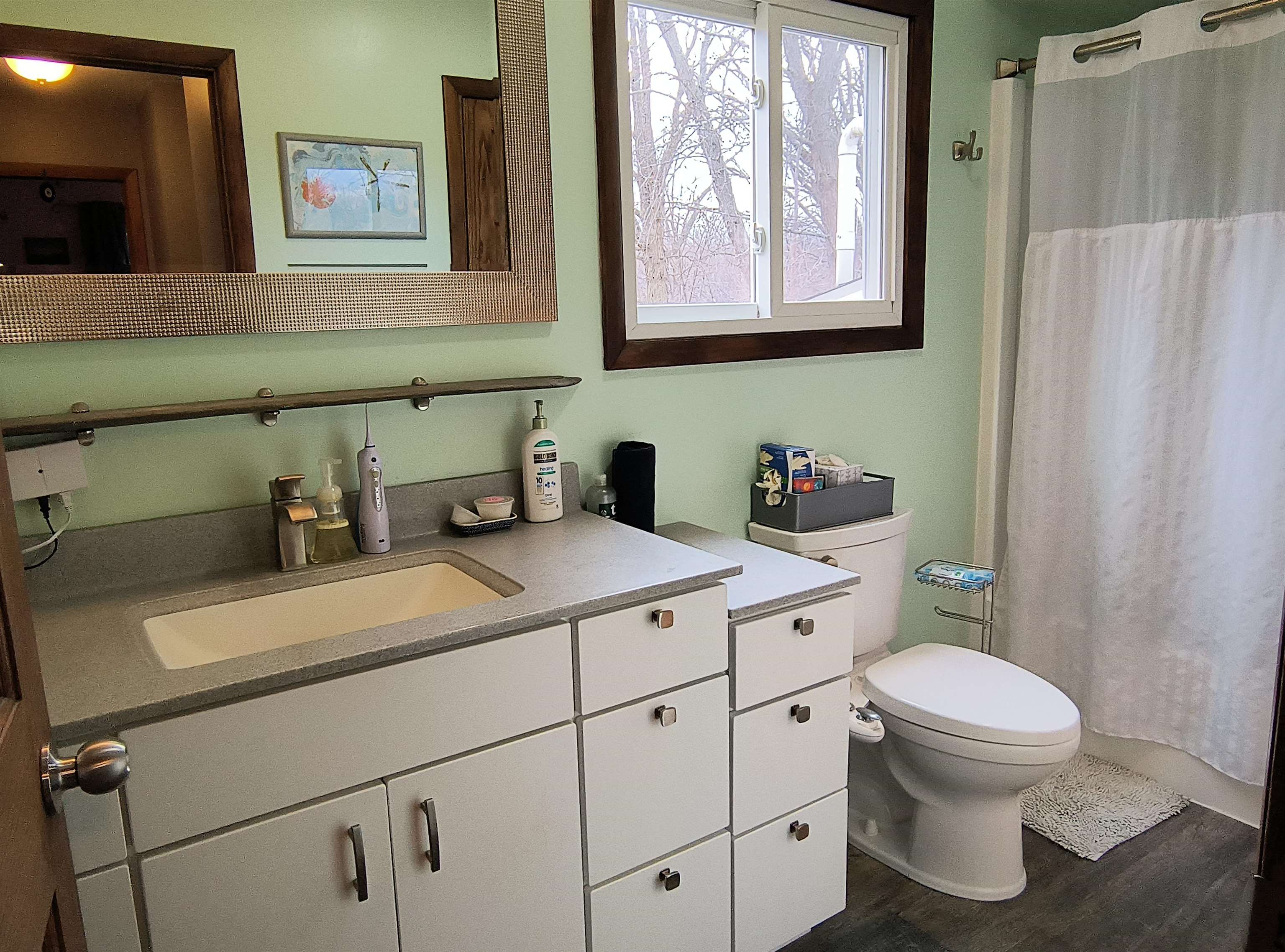 1236 South Loomis Road Mount Pleasant, MI 48858 - Photo 17 of 43