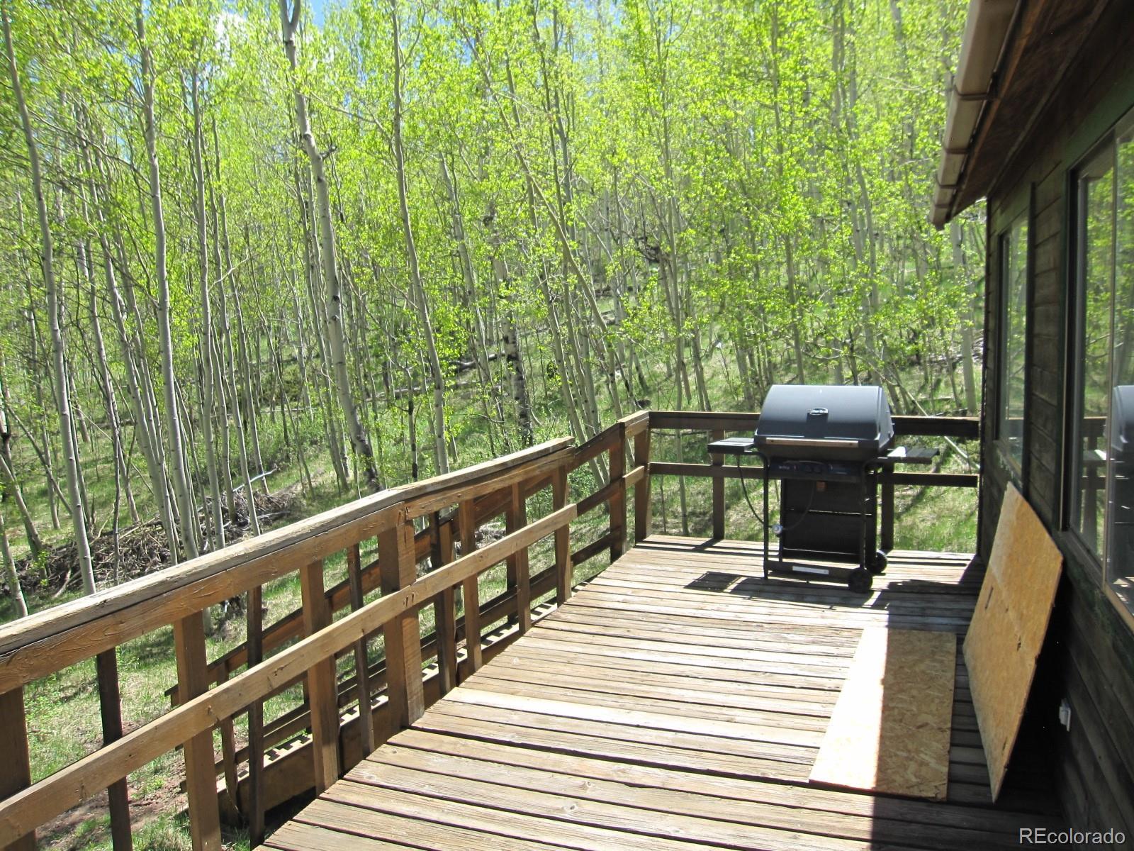 117 Lumberjack Road Fairplay, CO 80440 - Photo 8 of 27 Gallery Image 8