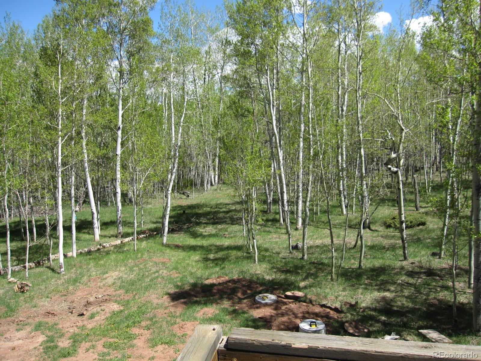 117 Lumberjack Road Fairplay, CO 80440 - Photo 9 of 27 Gallery Image 9